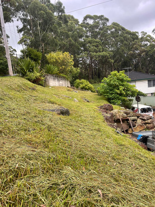 A Land Clearing Project in Wollongong and the Illawarra by Dombarton Construction and Excavation